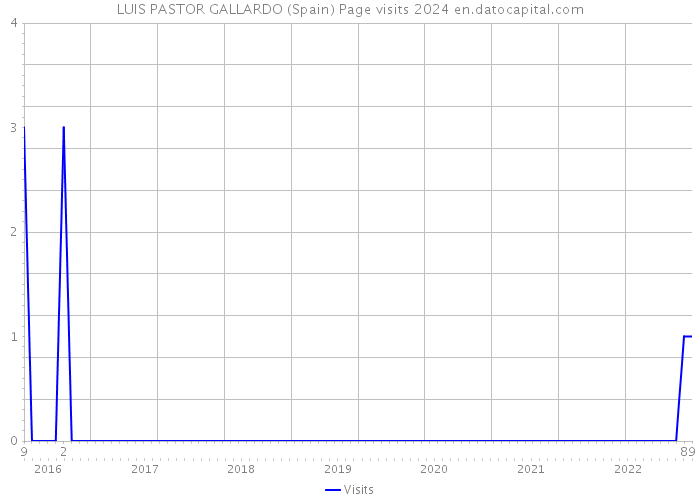 LUIS PASTOR GALLARDO (Spain) Page visits 2024 