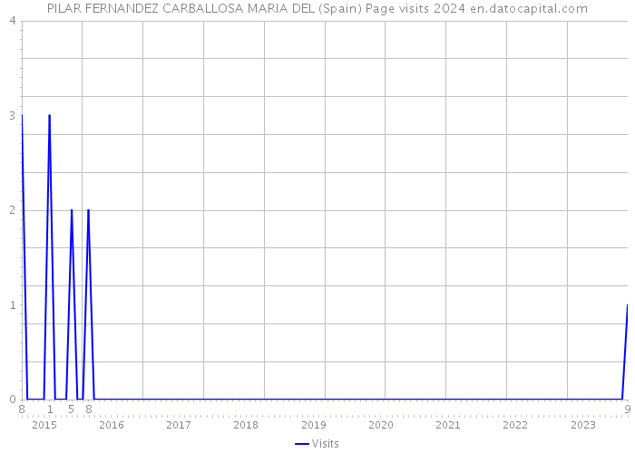 PILAR FERNANDEZ CARBALLOSA MARIA DEL (Spain) Page visits 2024 