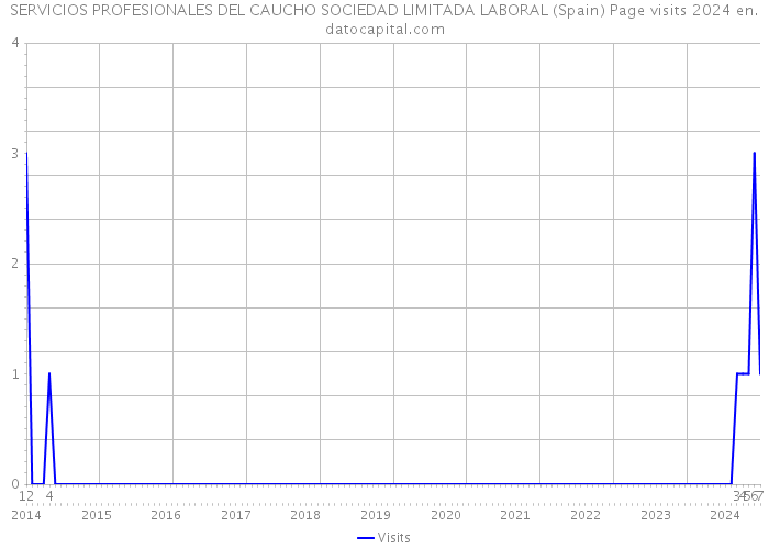 SERVICIOS PROFESIONALES DEL CAUCHO SOCIEDAD LIMITADA LABORAL (Spain) Page visits 2024 