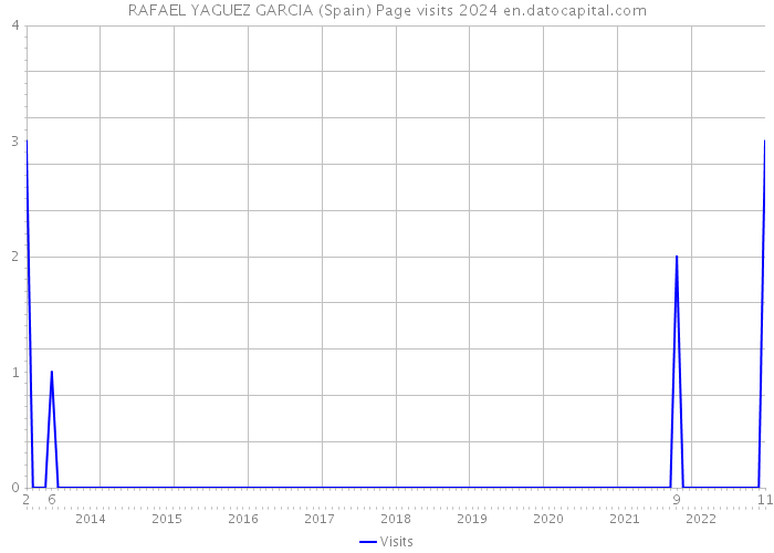 RAFAEL YAGUEZ GARCIA (Spain) Page visits 2024 