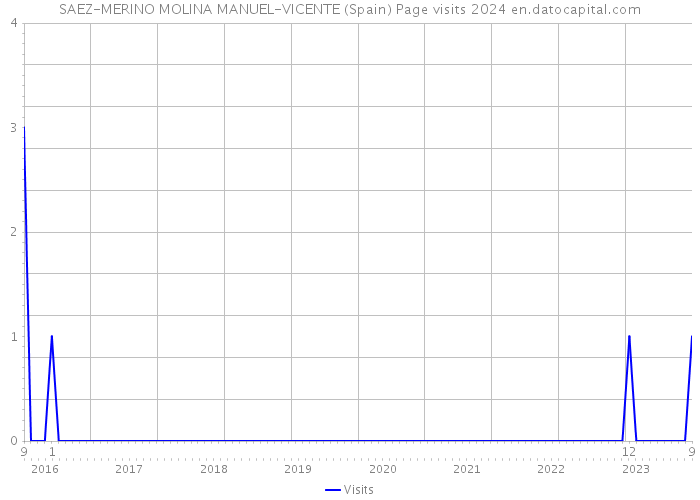SAEZ-MERINO MOLINA MANUEL-VICENTE (Spain) Page visits 2024 