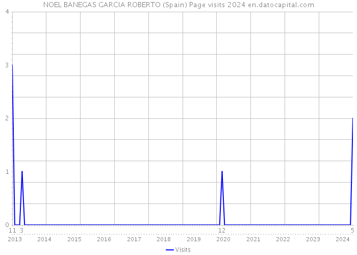 NOEL BANEGAS GARCIA ROBERTO (Spain) Page visits 2024 