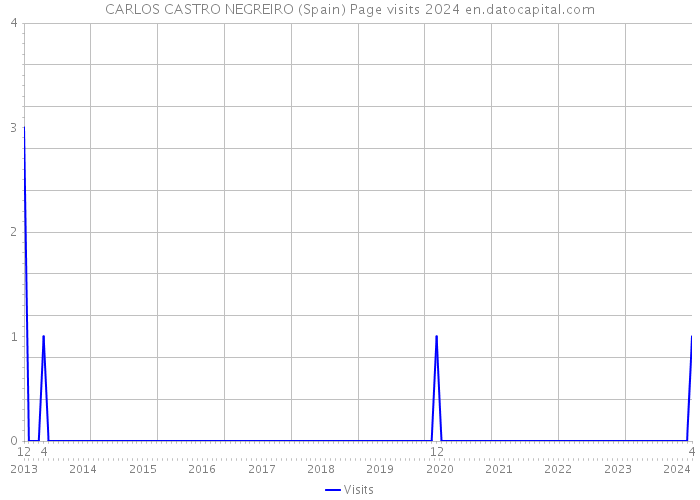 CARLOS CASTRO NEGREIRO (Spain) Page visits 2024 