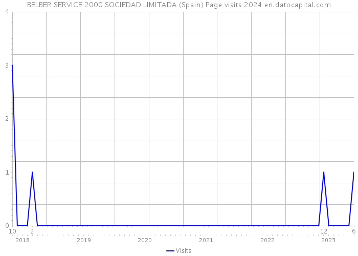BELBER SERVICE 2000 SOCIEDAD LIMITADA (Spain) Page visits 2024 