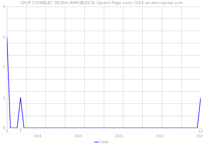 GRUP CONSELEC SEGRIA IMMOBLES SL (Spain) Page visits 2024 