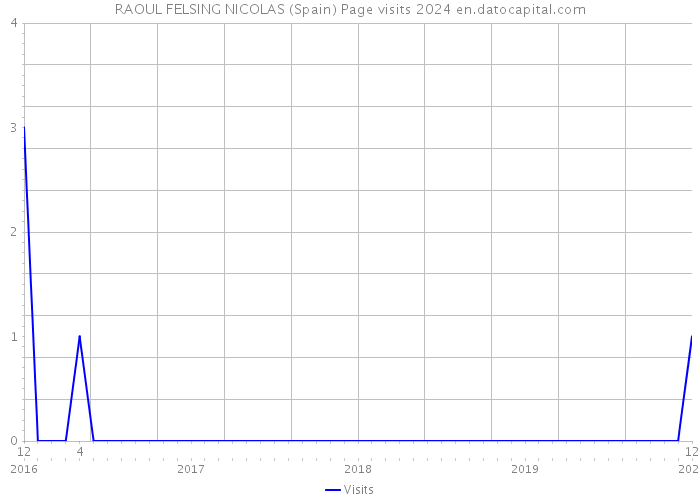 RAOUL FELSING NICOLAS (Spain) Page visits 2024 