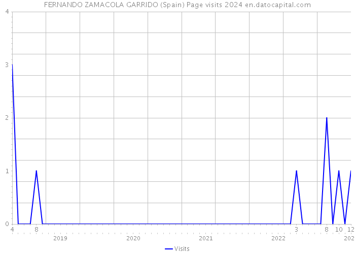 FERNANDO ZAMACOLA GARRIDO (Spain) Page visits 2024 