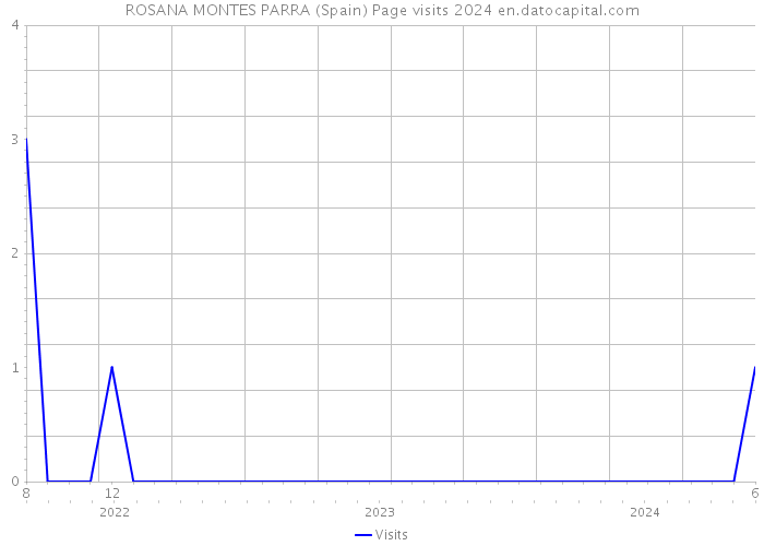 ROSANA MONTES PARRA (Spain) Page visits 2024 