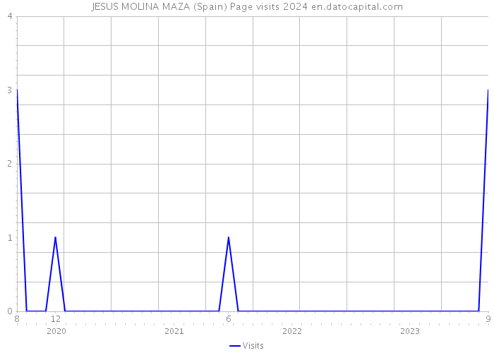 JESUS MOLINA MAZA (Spain) Page visits 2024 