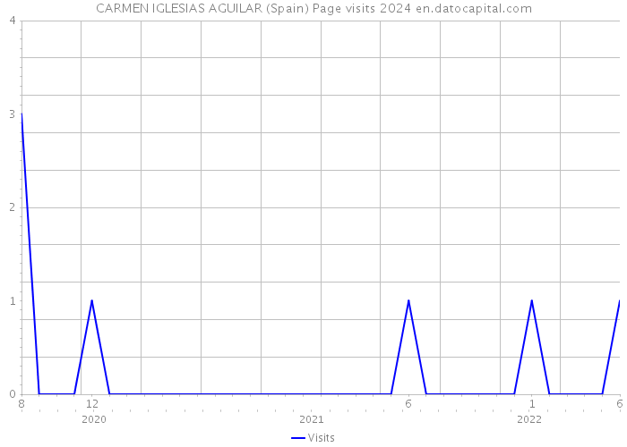 CARMEN IGLESIAS AGUILAR (Spain) Page visits 2024 