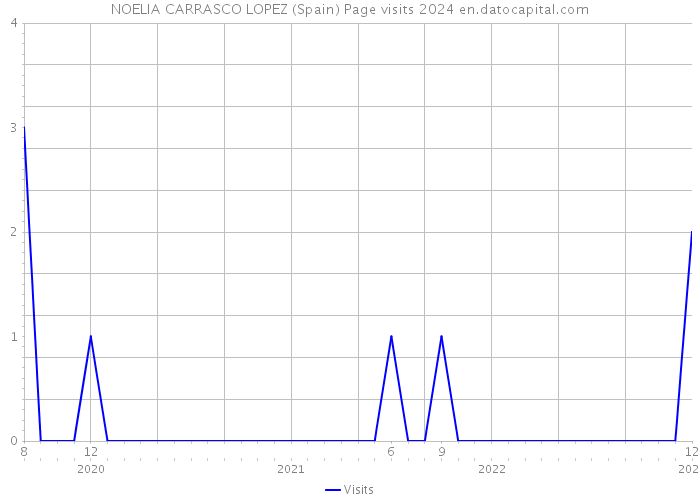 NOELIA CARRASCO LOPEZ (Spain) Page visits 2024 