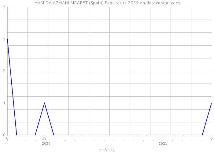 HAMIDA AZMANI MRABET (Spain) Page visits 2024 
