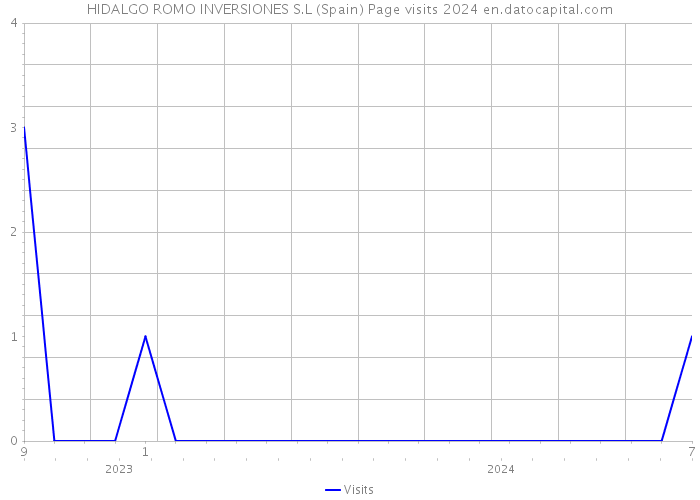 HIDALGO ROMO INVERSIONES S.L (Spain) Page visits 2024 