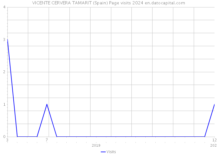 VICENTE CERVERA TAMARIT (Spain) Page visits 2024 