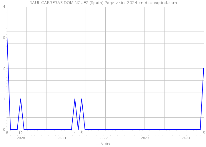 RAUL CARRERAS DOMINGUEZ (Spain) Page visits 2024 