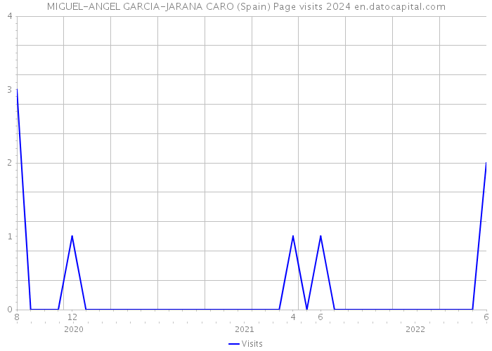 MIGUEL-ANGEL GARCIA-JARANA CARO (Spain) Page visits 2024 