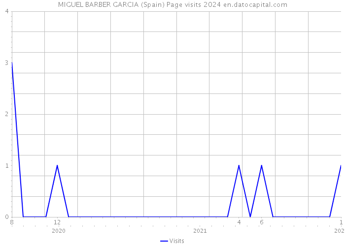MIGUEL BARBER GARCIA (Spain) Page visits 2024 