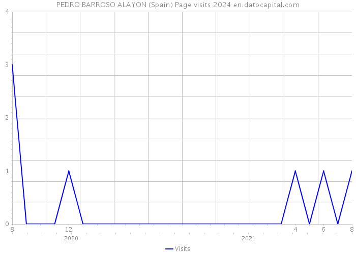 PEDRO BARROSO ALAYON (Spain) Page visits 2024 