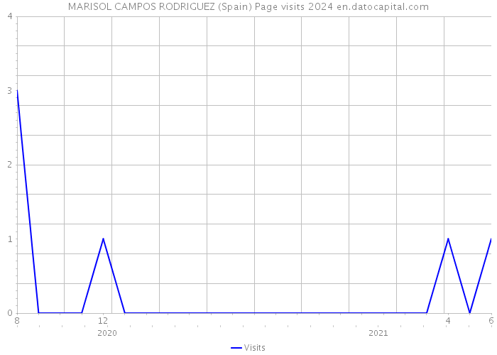 MARISOL CAMPOS RODRIGUEZ (Spain) Page visits 2024 