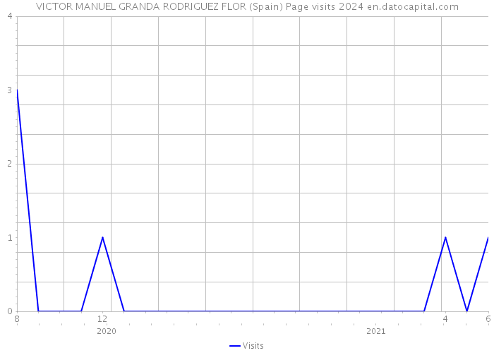 VICTOR MANUEL GRANDA RODRIGUEZ FLOR (Spain) Page visits 2024 