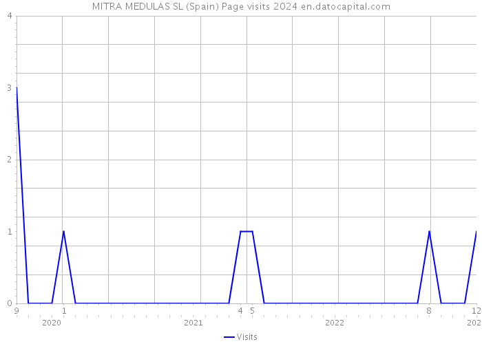 MITRA MEDULAS SL (Spain) Page visits 2024 