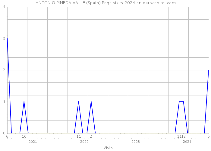 ANTONIO PINEDA VALLE (Spain) Page visits 2024 