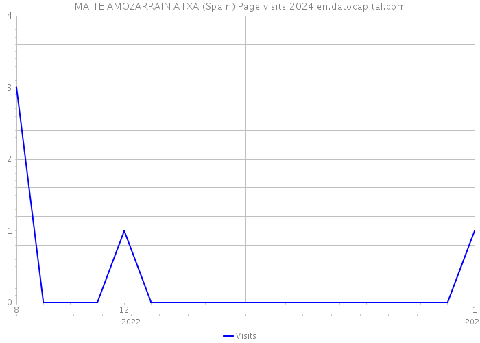 MAITE AMOZARRAIN ATXA (Spain) Page visits 2024 