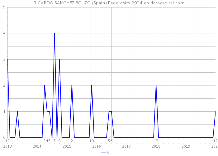 RICARDO SANCHEZ BOUZO (Spain) Page visits 2024 