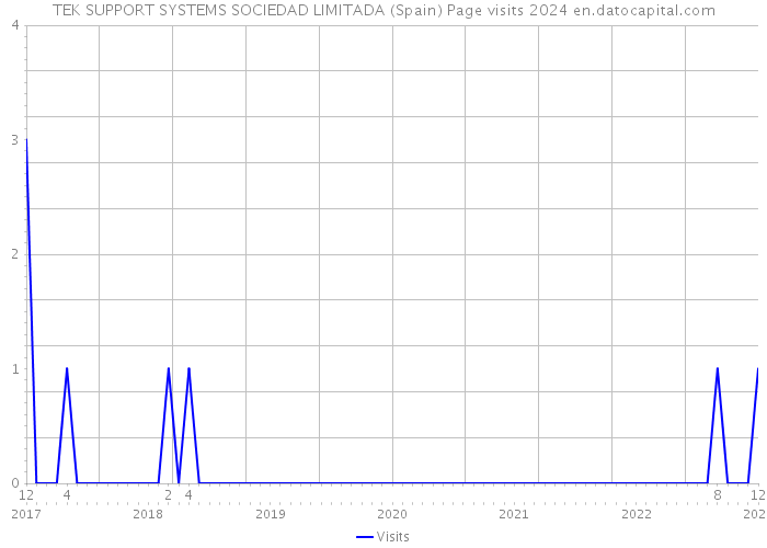 TEK SUPPORT SYSTEMS SOCIEDAD LIMITADA (Spain) Page visits 2024 