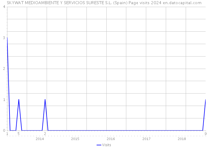 SKYWAT MEDIOAMBIENTE Y SERVICIOS SURESTE S.L. (Spain) Page visits 2024 