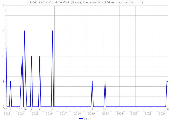 SARA LOPEZ VILLACAMPA (Spain) Page visits 2024 