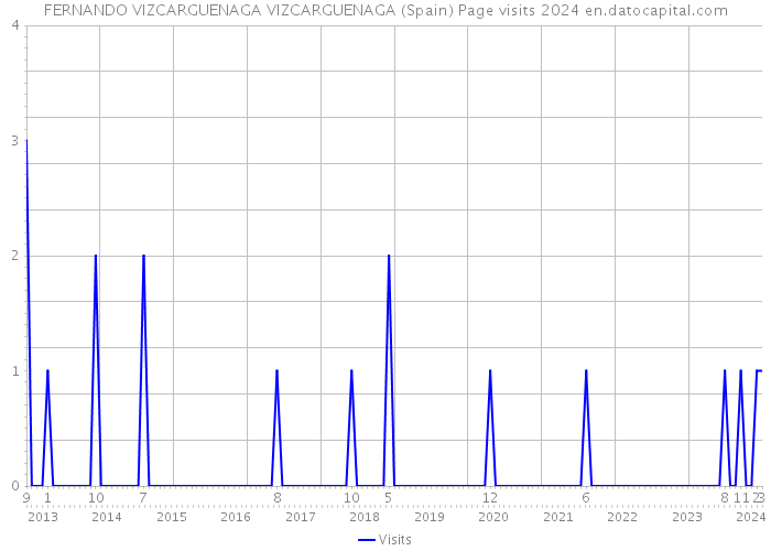 FERNANDO VIZCARGUENAGA VIZCARGUENAGA (Spain) Page visits 2024 