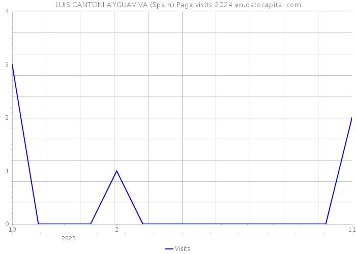 LUIS CANTONI AYGUAVIVA (Spain) Page visits 2024 