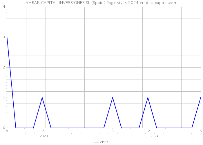 AMBAR CAPITAL INVERSIONES SL (Spain) Page visits 2024 