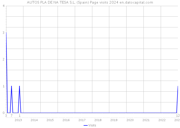 AUTOS PLA DE NA TESA S.L. (Spain) Page visits 2024 