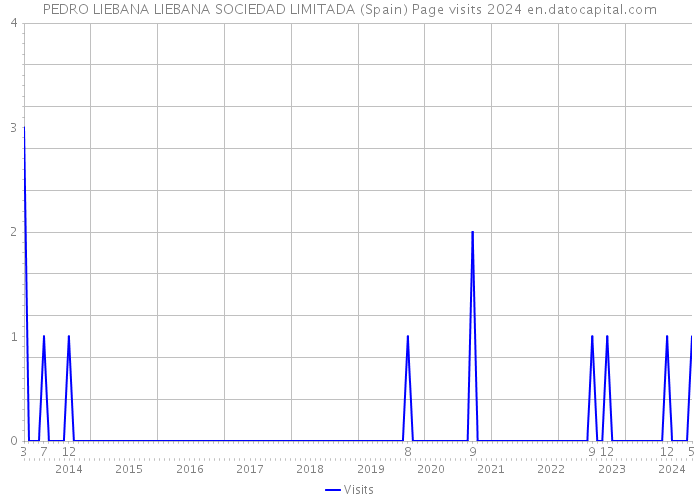 PEDRO LIEBANA LIEBANA SOCIEDAD LIMITADA (Spain) Page visits 2024 