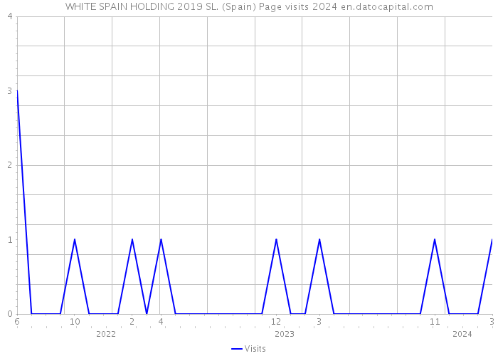 WHITE SPAIN HOLDING 2019 SL. (Spain) Page visits 2024 