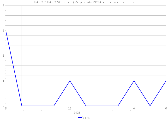PASO Y PASO SC (Spain) Page visits 2024 