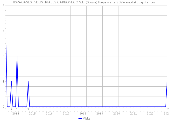 HISPAGASES INDUSTRIALES CARBONECO S.L. (Spain) Page visits 2024 