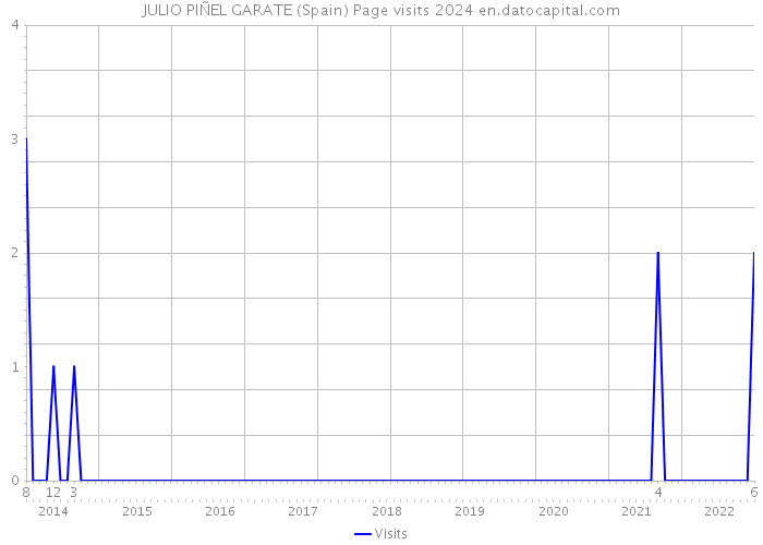 JULIO PIÑEL GARATE (Spain) Page visits 2024 