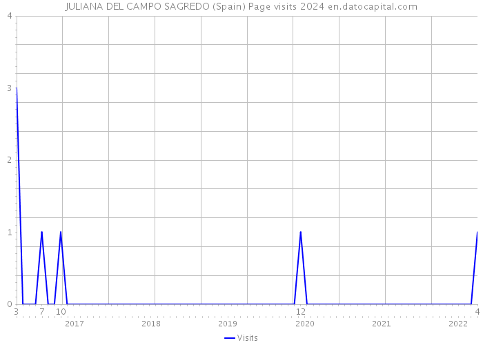 JULIANA DEL CAMPO SAGREDO (Spain) Page visits 2024 