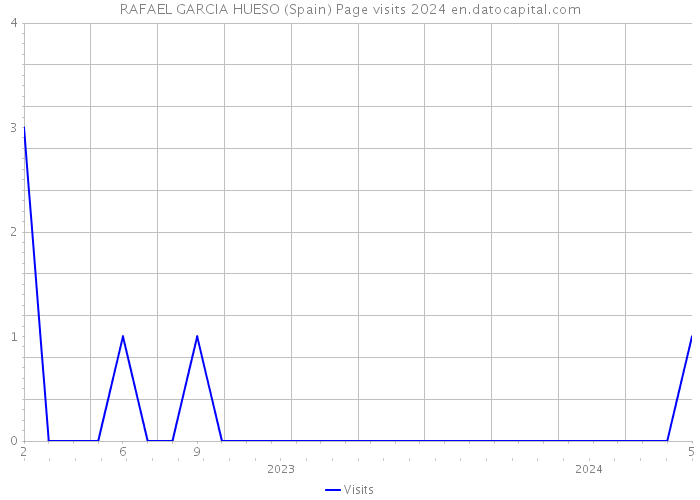 RAFAEL GARCIA HUESO (Spain) Page visits 2024 