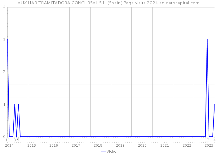 AUXILIAR TRAMITADORA CONCURSAL S.L. (Spain) Page visits 2024 