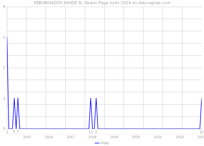 REBOBINADOS SANDE SL (Spain) Page visits 2024 