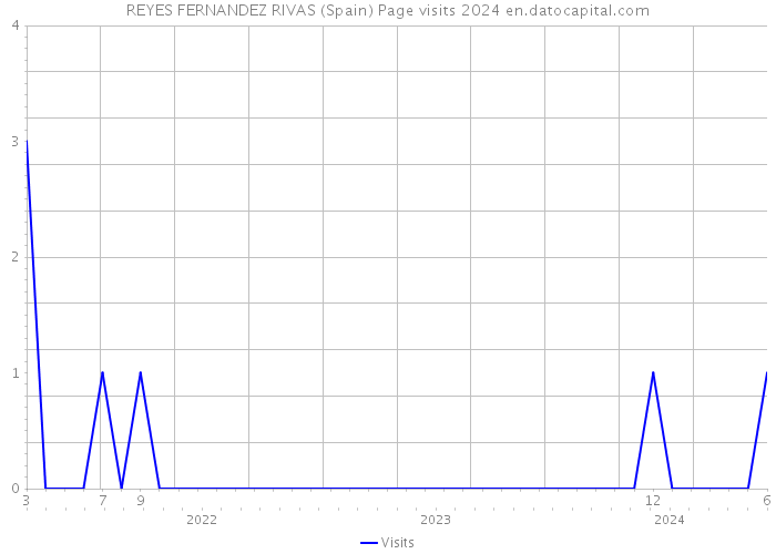 REYES FERNANDEZ RIVAS (Spain) Page visits 2024 