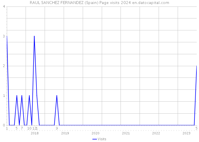 RAUL SANCHEZ FERNANDEZ (Spain) Page visits 2024 