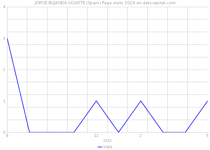 JORGE BUJANDA UGARTE (Spain) Page visits 2024 