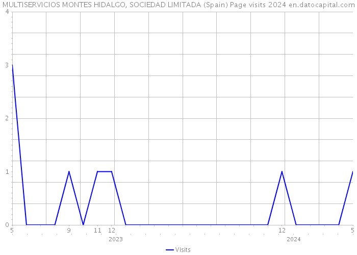 MULTISERVICIOS MONTES HIDALGO, SOCIEDAD LIMITADA (Spain) Page visits 2024 