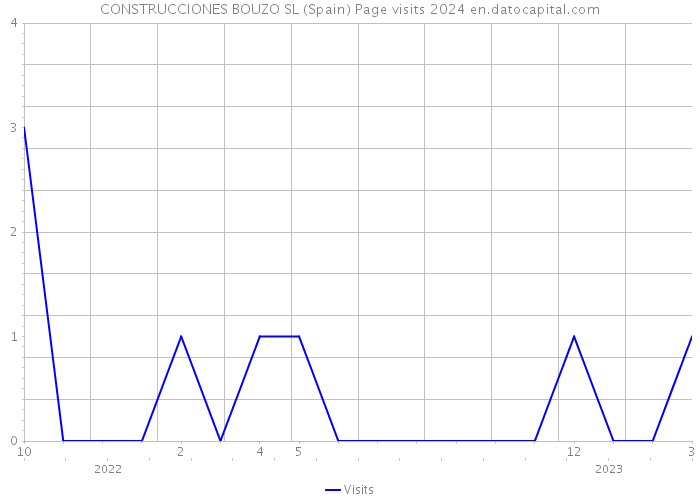 CONSTRUCCIONES BOUZO SL (Spain) Page visits 2024 