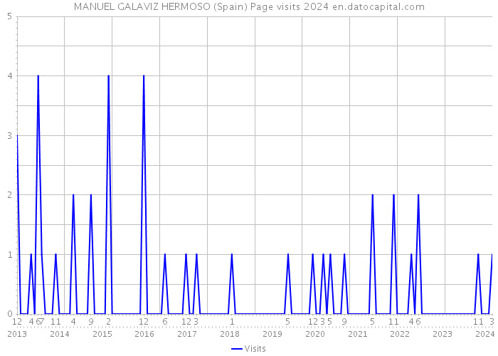 MANUEL GALAVIZ HERMOSO (Spain) Page visits 2024 